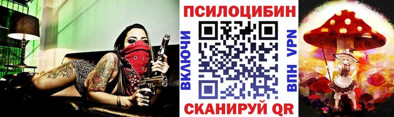 дарнет шоп  Котельниково  Галлюциногенные грибы Psilocybine cubensis 